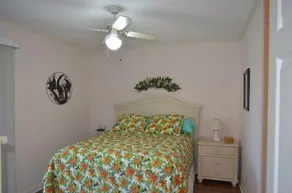 Colony III 201 - Image 5