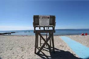 Spadseretur til Surf Drive Beach - Image 5