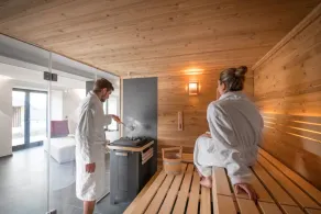 Chalet apartment \"Sonnenidyll\", 51 sqm & wellness/fitness/sauna - Bergrödelhof - Image 3