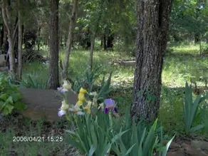 Mount Magazine View Cottage / Cabin - En fantastisk flugt i Arkansas - Image 4