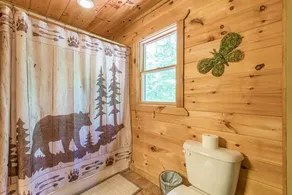 THREE BEARS CABIN, PRIVATE MOUNTAIN GETAWAY - Image 4