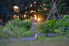 19th-century farmhouse with views, near trails, lakes, skiing and so much more! - Image 5