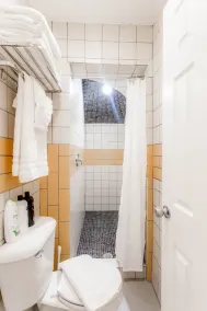 8073-# blocks from Mayo Clinic- Stylish 1 br apt w/Full Kitchen and Pvt Entrance - Image 4