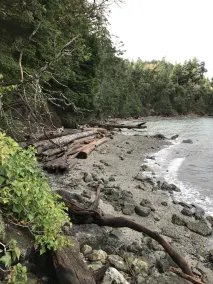 Waterfront  private hideaway - Image 4
