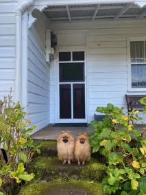 Blue Hills Cottage - Image 5