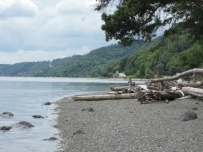 Vashon Island Loft  & Beach - Pet Friendly - Image 5