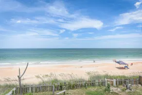 Dreamview - Image 4