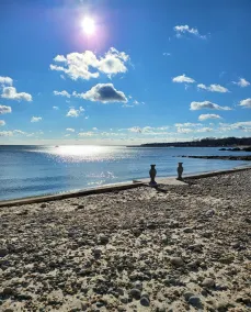 PRIVATE BEACH: A SLICE OF HEAVEN @ NIANTIC W/ 6 QUEENS 1 FULL BED - Image 4
