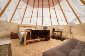 Buffalo Glamping Tipi with King Bed in Black Hills - Image 3