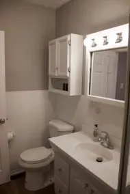 Lil' Lake House - Dog and Family Friendly, 2 BR - Image 5