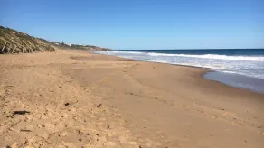 GREAT GETAWAY BY THE BEACH-HILLSVIEW PORT ELLIOTT - Image 4