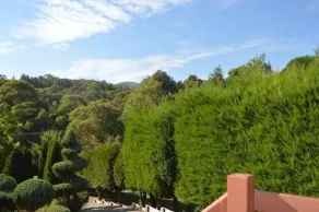 Altavilla (base di MT BULLER) - Image 5
