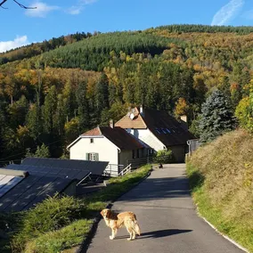 Meget smukt sommerhus i Vosgean Farm, kvalitetsservice - Image 2