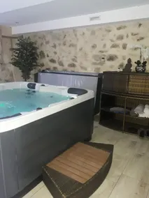 le Bouvreuil 9pers Seuls Occupants Possibilite Espace spa et Salle Fitness - Image 3