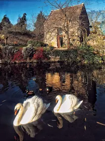 The Dovecote - Image 2