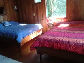 Naturalist's Cloud Forest Retreat - Image 5
