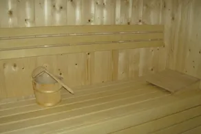 Wellness Villa in Green Ruinen - Image 2