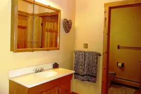 Beautiful Log Ski Cabin w/Belleayre Mtn Views - Image 3