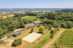 Le Triangle D'or - Le Bouleau - Piscine - Gaillac - Image 4