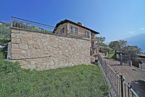 Stella - Image 5