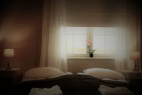 Villa de luxe de style scandinave (12-14 personnes) avec bain à remous au Cercle d'Or - Image 5