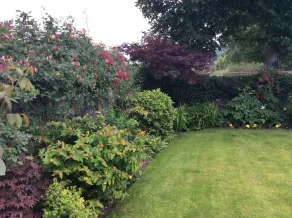 Charming Cottage Sidmouth Devon.Easy walk or cycle ride by river to beach. - Image 3