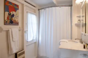 Classic Lake MI Cottage w/Beach and Incredible Views - Image 4