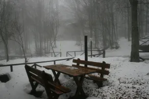 Chalet Il Pettirosso - Image 5