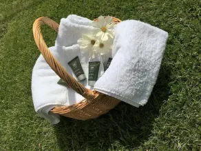 Orchard Barn Spa, exclusively for you, New Forest - Image 4