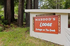 Mason - Cabin Masoods Lodge - Image 5