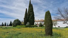 Ferienhaus Cortijo Los Parrales für 4 personen - Image 5
