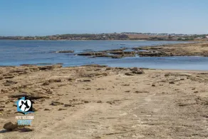 PetLet 17 Absolute Waterfront Views + Kayaks - Image 5