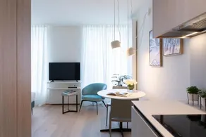 Deluxe Studio      . - Image 4