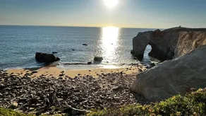 Quiberon - 3 rooms apartment - 48m² - town center - Image 4
