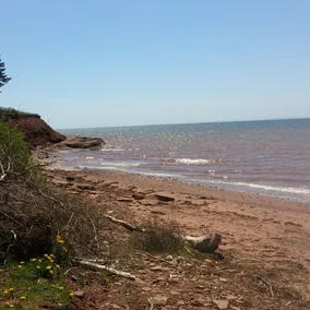 Little Eden Summer Beach Home - Image 5