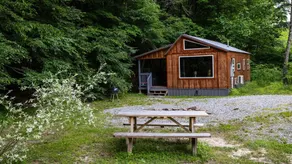 Stunning Cabin & Mountain Hiking! - Image 4