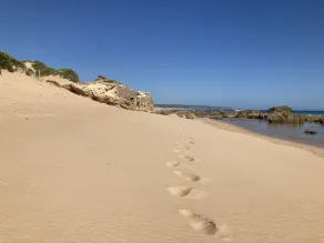 Apenas a uma curta caminhada da praia do oceano - a base perfeita para explorar a Península - Image 2