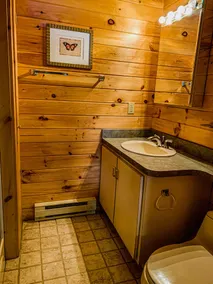 Luxury Lakefront: Hot Tub, Fireplace, Pet Friendly, Arcade, Watercraft, + more! - Image 5