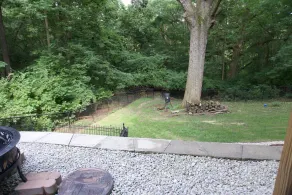 Entspannen Sie sich in der ruhigen Deer Tracks Lodge, wo die Hirsche und Vögel singen - Image 4