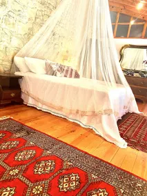 Loft in Nature - listed house - Image 5