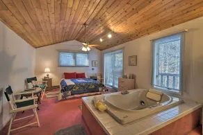 Spacious Catskill Mountains ski cabin with fire pit - Image 3