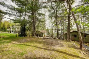 Spruce Chalet at Shore Haven, sleeps 5 - Image 5