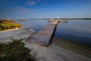 The Pelican - Image 5