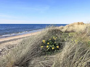 4 stjernet sommerhus i Hjørring - Image 4