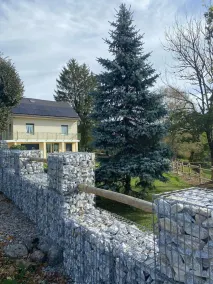 Residence in the heart of the Massif du Sancy - Image 4