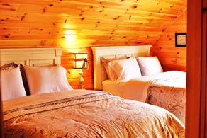 Luxury Cabin for 23, Million Dollar View Lake Estate, Book Now for Summer & Fall - Image 4