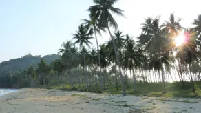 155 SalaCoco - Image 4
