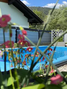 Chalet 48 - Holiday home with pool near Nassfeld and many lakes - Image 1