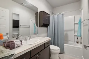 Cozy 1BR Retreat in Sammamish apts - Image 3