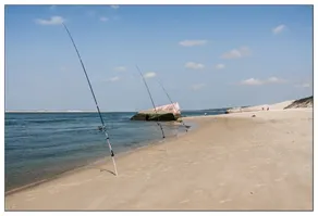 Ferie sæsonudlejning Arcachon bassin i Gujan-Mestras - Image 5